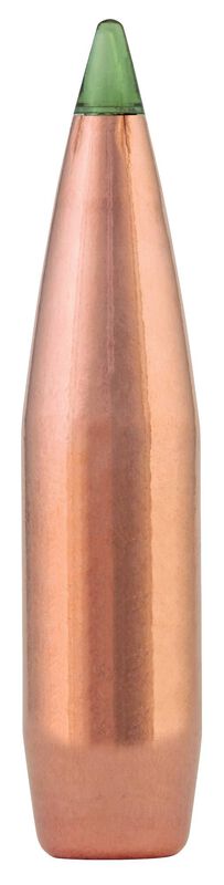 Premier Long Range, 300 Win Mag, 190 Grain, Speer Impact, 2885 fps